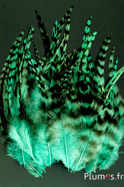 Coq chinchilla - 9-13 cm - vert d´eau